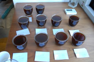 coffee cupping 3